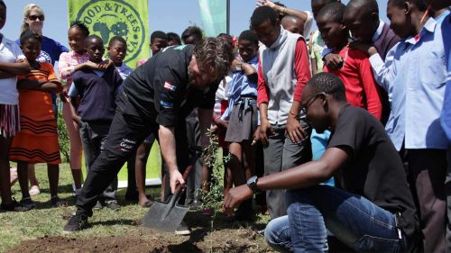 Food and Trees for Africa in Johannesburg
