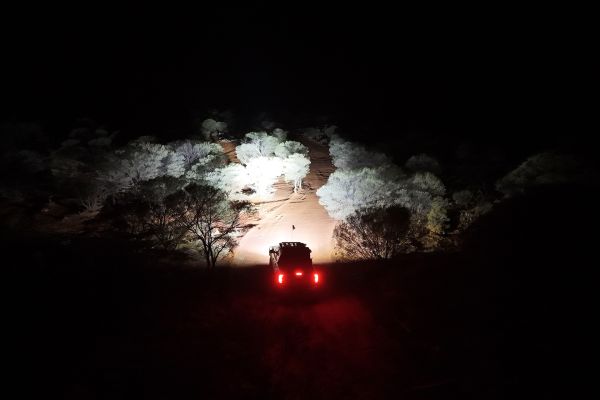 DJI_20241024135100_0463_D
